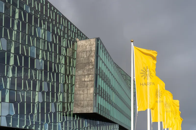 a picture of branded flags
