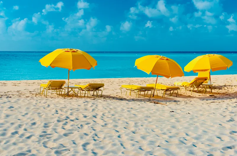 branded beach umbrellas and chairs on the beach